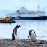 La croisière la moins chère en Antarctique : 1390 euros