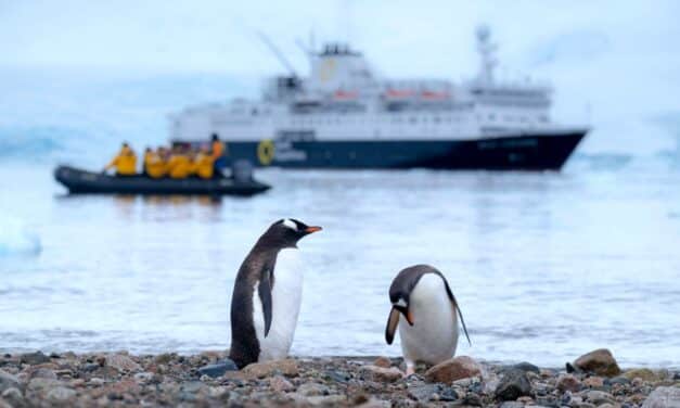 La croisière la moins chère en Antarctique : 1390 euros