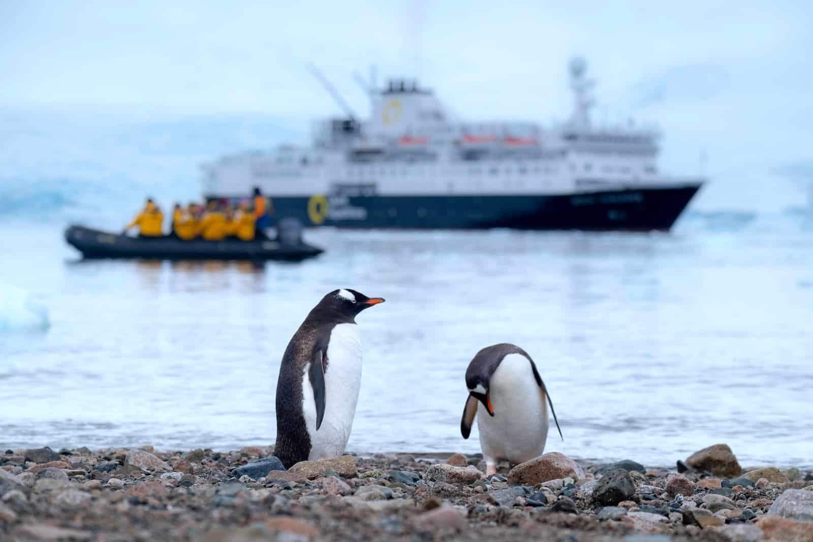 Explorer l'Antarctique en croisière : une aventure à couper le souffle