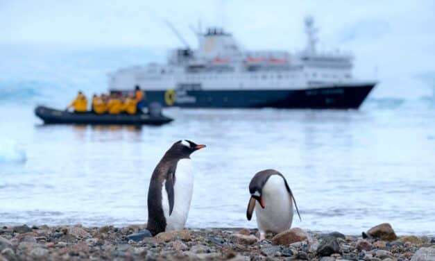 Explorer l’Antarctique en croisière : une aventure à couper le souffle